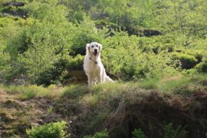 2018 Ausbildungswoche Arber